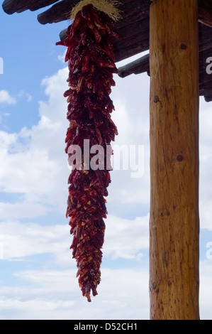 Eine sehr große Chilischote Girlanden hängt vom Dach der Haustreppe und neben einer geschälten Log Post der Tragkonstruktion. Stockfoto