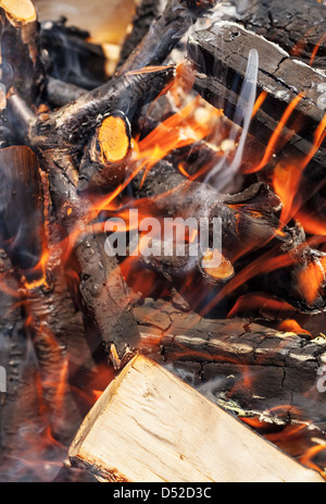 Verbrennung von Brennholz, Lagerfeuer Makrofoto mit selektiven Fokus Stockfoto