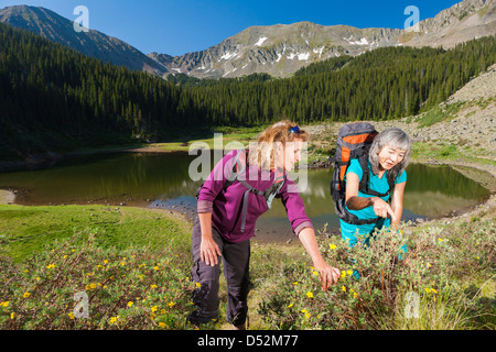 Wanderer, die Prüfung von Anlagen in ländlichen Landschaft Stockfoto