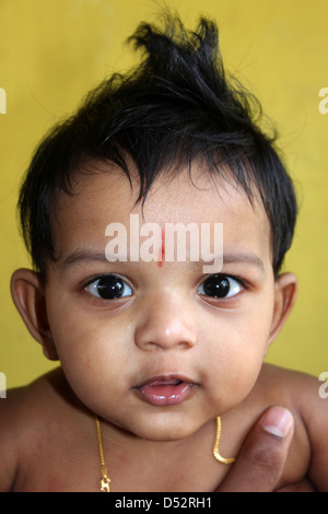 Sri Lankan Baby Boy Stockfoto