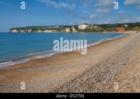 Seaton Strand Küste und Klippen Devon England.  An der Südküste in der Nähe von Bier.  Auf der Jurassic Coast Dorset Stockfoto