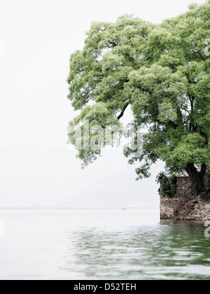 Baum auf Barahi Tempelinsel in Pokhara, Nepal, vertikale Aufnahme Stockfoto