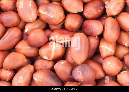 Erdnüsse gebraten Vollformat closeup Stockfoto