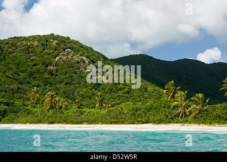Tabak-Strand, Süd-Ost-Küste, Antigua, West Indies, Karibik, Mittelamerika Stockfoto