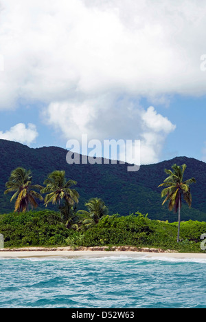 Tabak-Strand, Süd-Ost-Küste, Antigua, West Indies, Karibik, Mittelamerika Stockfoto