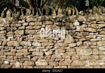 Trockenmauer Detail Little Rissington Gloucestershire England UK Stockfoto