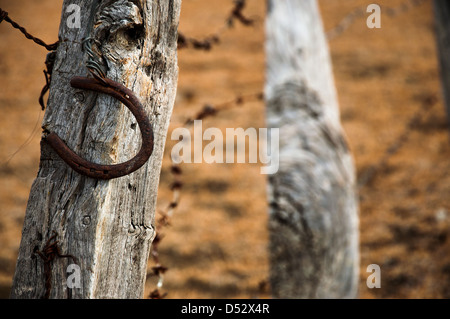 Eine alte rostige Hufeisen auf einem verwitterten Zaunpfosten Stockfoto