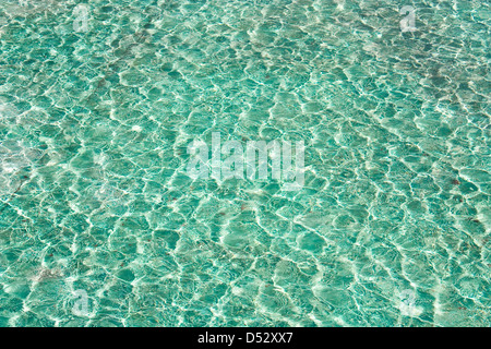 schöne klare Poolwasser reflektiert in der Sonne Stockfoto
