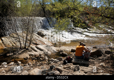 Das Wasser fließt in Sabino Creek, Sabino Canyon Recreation Area, Coronado National Forest, Sonora-Wüste, Tucson, Arizona, USA. Stockfoto