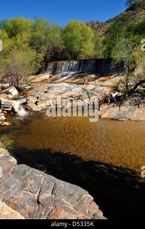 Das Wasser fließt in Sabino Creek, Sabino Canyon Recreation Area, Coronado National Forest, Sonora-Wüste, Tucson, Arizona, USA. Stockfoto