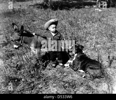 Kleiner Junge mit sizilianischen Esel und Hund Stockfoto