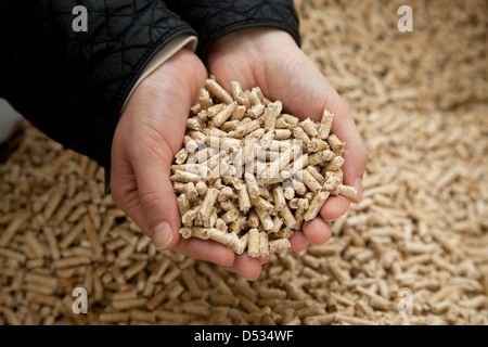 Titz, Deutschland, Herstellung von Holzpellets Stockfoto