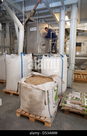 Titz, Deutschland, Herstellung von Holzpellets Stockfoto