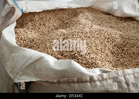 Titz, Deutschland, Herstellung von Holzpellets Stockfoto