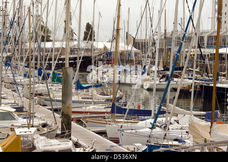 Yachten und Boote vor Anker in einer marina Stockfoto