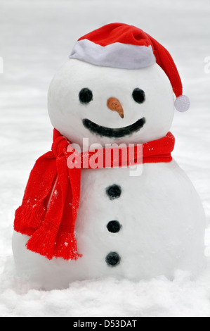 niedlichen Schneemann auf schneebedecktes Feld Stockfoto