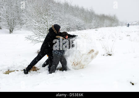 Hucknall, Notts, UK. 23. März 2013. Schnee ist weiterhin hinzufügen bereits tiefen Schnee fallen. Kinder machen große Schneeball mit Hilfe eines Erwachsenen. Bildnachweis: Ian Francis / Alamy Live News Stockfoto