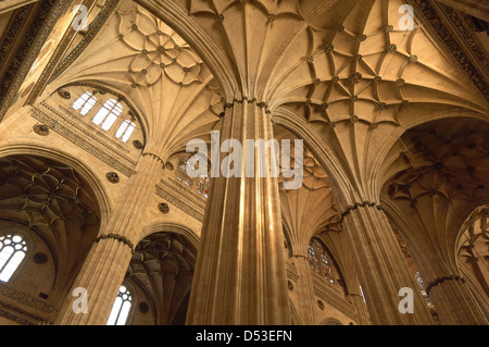 Kathedrale, innen neue Kathedrale, Salamanca, Via De La Plata, Silber Route, Kastilien-León, Spanien Stockfoto