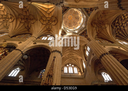 Kathedrale, innen neue Kathedrale, Salamanca, Via De La Plata, Silber Route, Kastilien-León, Spanien Stockfoto