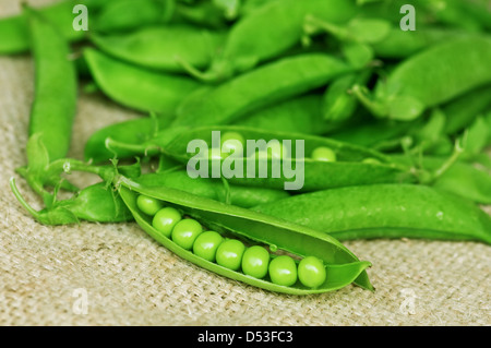 grüne Erbse auf Sack closeup Stockfoto