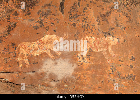 Buschmänner (San) rock Malerei abbildenden Nashorn, Drakensberge, Südafrika Stockfoto