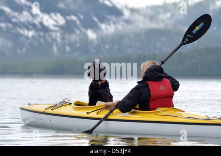 Frau Seekajak mit einem Hund in Glacier Bay Nationalpark, Alaska. Stockfoto