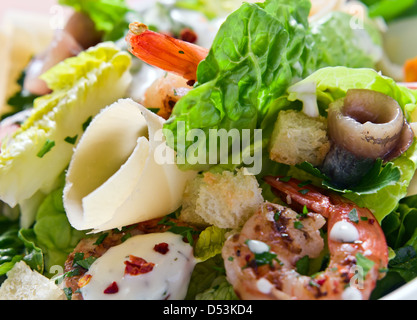 Garnelen-Salat mit Käse, Sardellen und Grüns Stockfoto