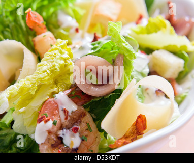 Garnelen-Salat mit Käse, Sardellen und Grüns Stockfoto