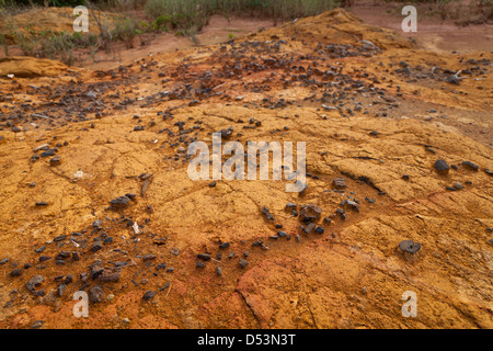 Kohle auf den Boden, von den antiken Siedlungen, in Sarigua Nationalpark (Wüste), Herrera Provinz, Republik Panama. Stockfoto