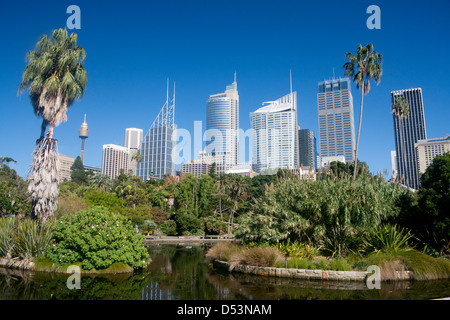 Royal Botanic Gardens mit CBD Skyline hinter Australien Sydney New South Wales (NSW) Stockfoto