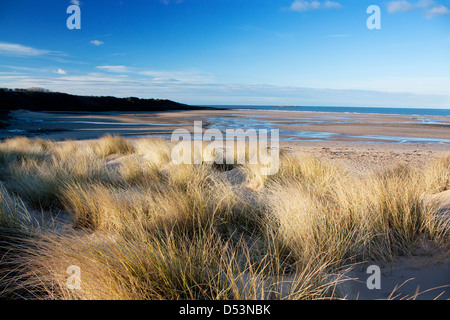 Traeth Lligwy Strand auf Ost Küste von Anglesey in der Nähe von Moelfre mit Dünengebieten Grass und Sanddünen Isle of Anglesey North Wales UK Stockfoto