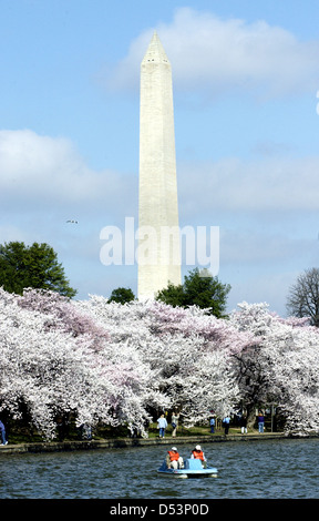 Washington Monument und Kirschblüten am Tidal Basin National Mall Washington DC USA Stockfoto