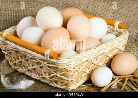 Frischen Eiern vom Bauernhof Stockfoto