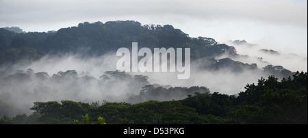 Panorama der Soberania Nationalpark bei Tagesanbruch, Provinz Panama, Republik von Panama. Stockfoto