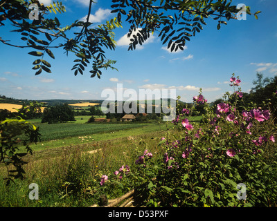 Nationalparks South Downs, Sussex, England, Großbritannien Stockfoto