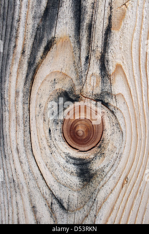 Schönen knorrigen und körnig natürliche Holzstruktur. Stockfoto