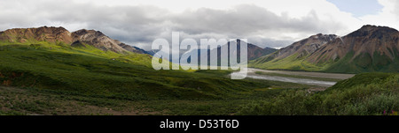 Panorama-Ansicht südlich der Alaska Range von Polychrome Pass, Denali National Park, Alaska, USA Stockfoto