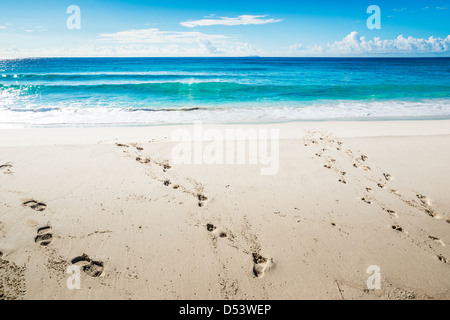 Strand von Anse Severe, La Digue Island, Seychellen Stockfoto