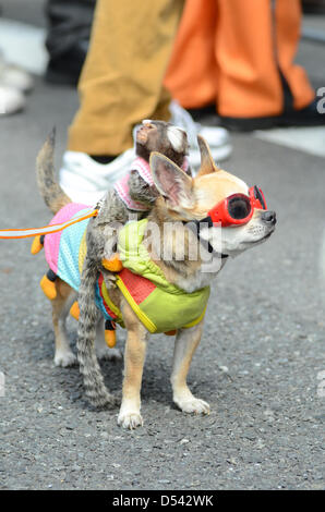 Osaka, Japan. 24. März 2013. Tausende versammeln sich im Zentrum von Osaka am Sonntag für die jährliche Nipponbashi Straße Festa.The Festa in Nipponbashi, Osakas Elektronik Bezirk, besser bekannt als Höhle-Höhle-Stadt stattfand. Viele Straßen wurden gesperrt, um für die Horden von Cosplay, Manga und Anime-Fans gerecht zu werden. Kredit-Bild: Trevor Mogg / Alamy Live News Stockfoto