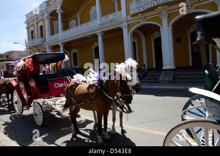 Pferdekutschen, Coches, genannt bieten eine reizvolle Touren der kolonialen Zentrum von Grenada, Nicaragua. Stockfoto