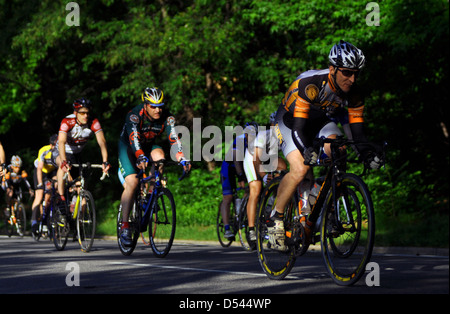 Central Park, New York City, USA-Fahrradfahrer Stockfoto