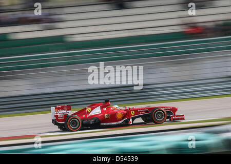 Kuala Lumpur, Malaysia, 23. März 2013. Fernando Alonso (ESP), Scuderia Ferrari - Formel 1 World Championship 2013 - Runde 02 auf Sepang International Circuit, Kuala Lumpur, Malaysia, Samstag, 23. März 2013 Credit/Dpa/Alamy Live News Stockfoto