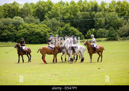 Ein Polospiel gespielt wird auf einem Feld in der englischen Landschaft. Stockfoto