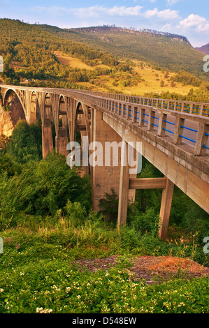 Lange Brücke über den Fluss Tara in Montenegro Stockfoto