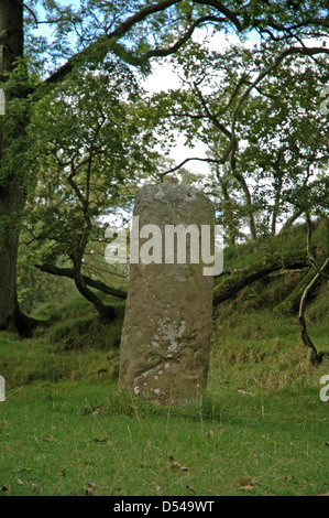 Der römische Meilenstein auf Stanegate, Vindolanda, Hadrianswall (Chesterholm). Stockfoto