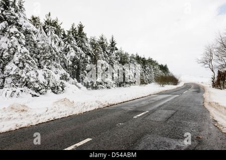 Eine Straße geräumte vor kurzem vorbei an einem Wald Stockfoto