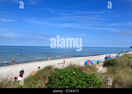 Insel Hiddensee, Strand von Vitte, Mecklenburg Vorpommern, Deutschland Stockfoto