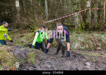 Kilmarnock, Großbritannien. 24. März 2013. Organisierten Schlamm laufen bei Craufurdland Castle Estate, in der Nähe von Kilmarnock.  Trotz des jüngsten schlechten Wetters teilgenommen ca. 200 Schlamm Läufer der jährlichen laufen über das Anwesen. Die Route war über 10 Kilometer durch Wälder, über Flüsse und Wasser gefüllten Gräben, die viele der Läufer für wohltätige Zwecke gefördert wurden. Stockfoto