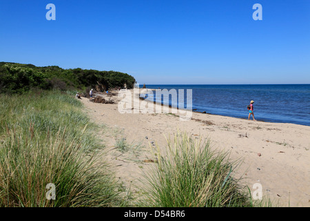 Insel Hiddensee, Enddorn, Strand, Mecklenburg Western Pomerania, Deutschland Stockfoto