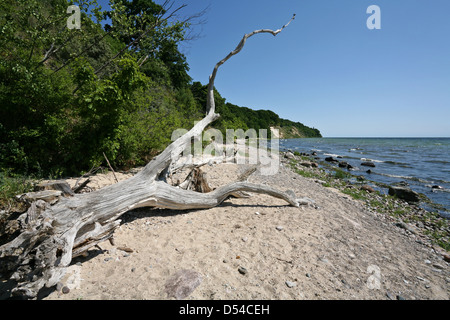 Am Strand auf der Insel Ruegen Nordperd Göhren, Deutschland Stockfoto